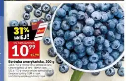 Twój Market Borówka amerykańska oferta