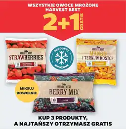 Netto Wszystkie owoce mrożone harvest best oferta