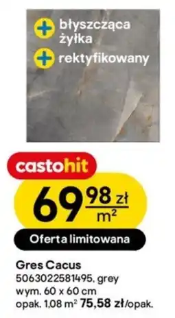 Castorama Gres oferta