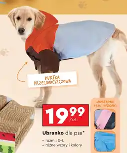 Biedronka Ubranko dla psa oferta