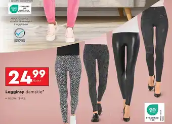 Biedronka Legginsy damskie TEX oferta