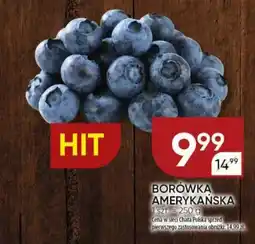 Chata Polska Borówka amerykańska oferta