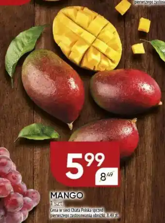 Chata Polska Mango oferta