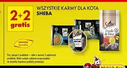 Biedronka Karma dla kota smaki rybne Sheba Selection In Sauce oferta