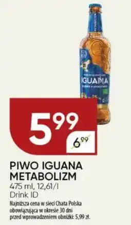 Chata Polska Piwo iguana metabolizm oferta