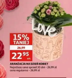 Auchan Aranżacja kwiatowa w doniczce oferta