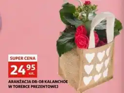 Auchan Aranżacja db-08 oferta