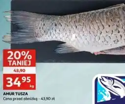 Auchan Amur tusza oferta