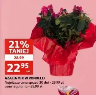 Auchan Azalia oferta