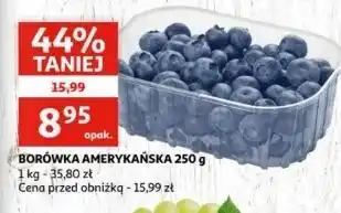 Auchan Borówki amerykańskie oferta