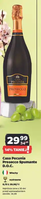 Netto Wino Casa Pecunia Spumante Demi Sec Rose oferta