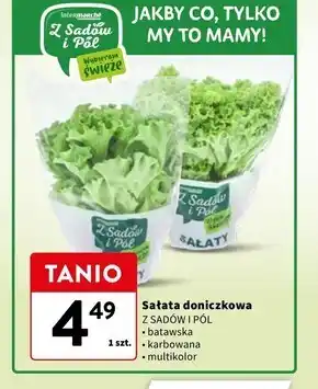 Intermarche Sałata Z Sadów i Pól oferta