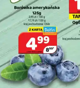 Delfin Borówka amerykańska oferta