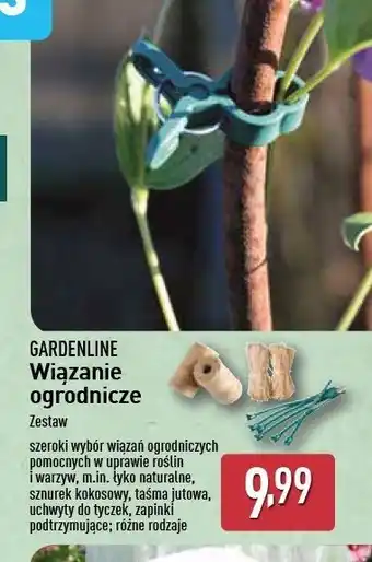 ALDI Wiązania ogrodowe Gardenline oferta