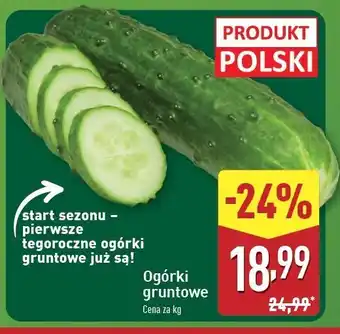 ALDI Ogórek gruntowy oferta