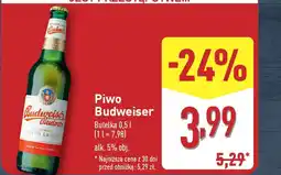 ALDI Piwo Budweiser oferta