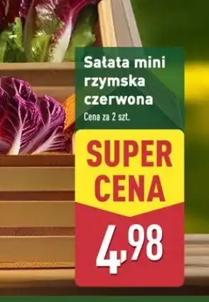 ALDI Sałata rzymska mini czerwona oferta