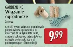 ALDI Zapinki do roślin Gardenline oferta