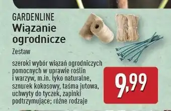 ALDI Zapinki do roślin Gardenline oferta