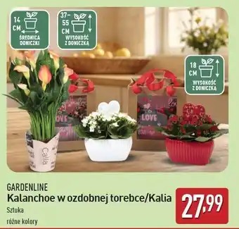 ALDI Kalia Gardenline oferta