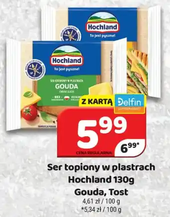 Delfin Ser topiony w plastrach Hochland oferta