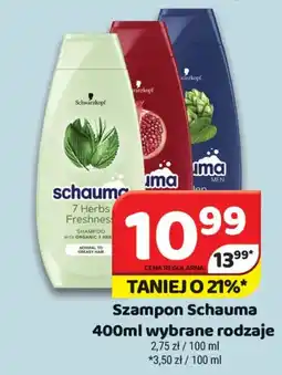 Delfin Szampon Schauma oferta