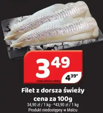 Delfin Filet z dorsza świeży oferta