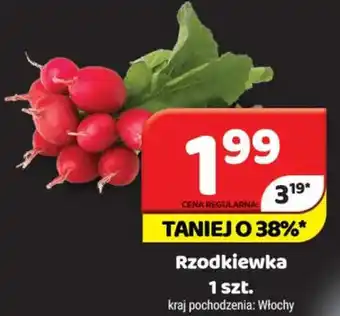 Delfin Rzodkiewka oferta