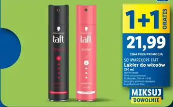 Lidl Lakier do włosów oferta