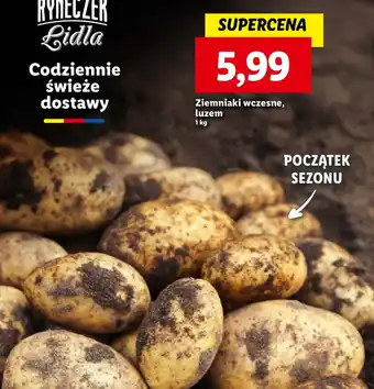 Lidl Ziemniaki wczesne, luzem oferta