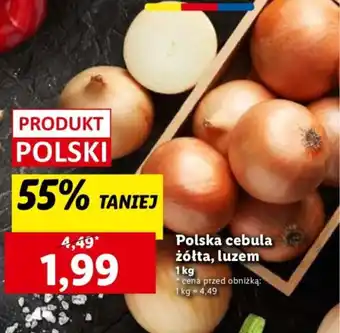 Lidl Polska cebula żółta, luzem oferta