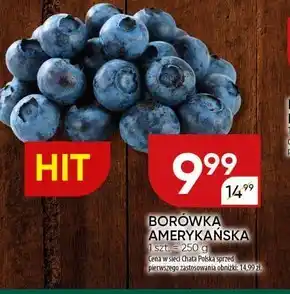 Chata Polska Borówka amerykańska Hit oferta