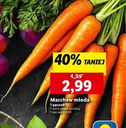 Lidl Marchew młoda oferta