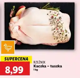 Lidl Kaczka - tuszka oferta