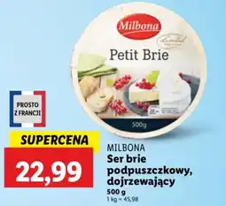 Lidl Ser brie podpuszczkowy, dojrzewający oferta