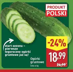 ALDI Ogórki gruntowe oferta