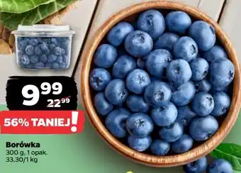 Netto Borówki amerykańskie oferta