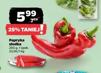 Netto Papryka słodka oferta