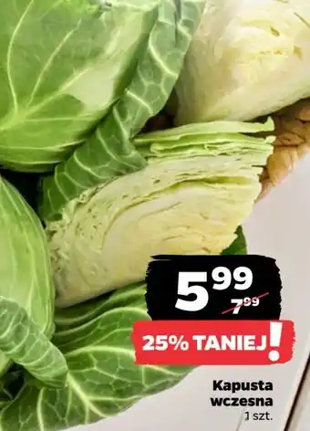 Netto Kapusta wczesna oferta