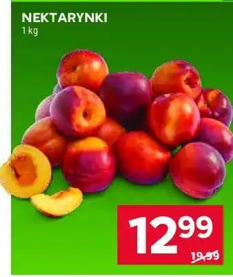 Stokrotka Nektarynki oferta