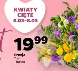 Netto Frezja bukiet oferta