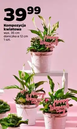 Netto Kompozycja kwiatowa 35 cm oferta