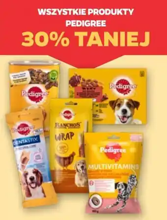 Netto Produkty Pedigree oferta