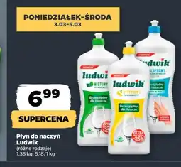 Netto Balsam do naczyń aloesowy Ludwik oferta