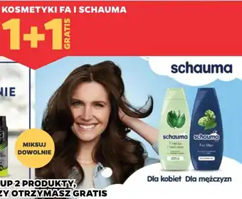 Netto Szampon classic Schauma For Men oferta