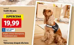 Lidl Szelki dla psa rozm. s-xl Zoofari oferta