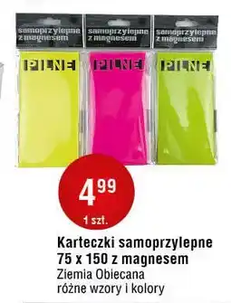 E.Leclerc Karteczki samoprzylepne z magnesem 75 x 150 mm Ziemia Obiecana oferta