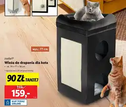 Lidl Wieża do drapania dla kota 39 x 77 cm Zoofari oferta