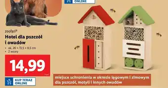 Lidl Domek dla owadów Zoofari oferta