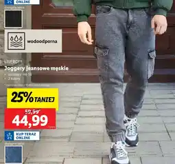 Lidl Joggery męskie 48-56 Livergy oferta